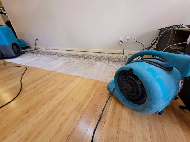 Professional Water Damage Repair technician working in Rosemount, OH